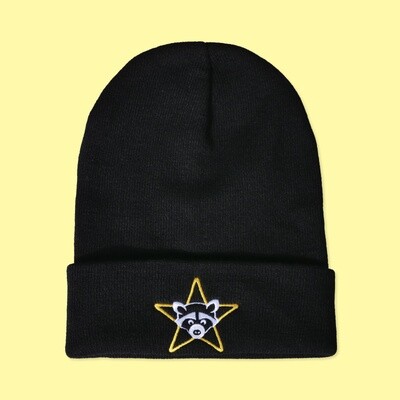 Raccoon Hat