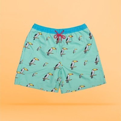 Tucan Bird