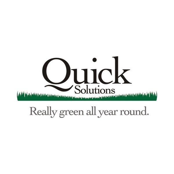 Online Store - Quick Solutions