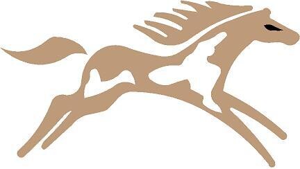 Decal 28