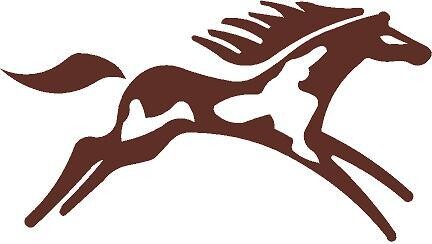 Decal 30