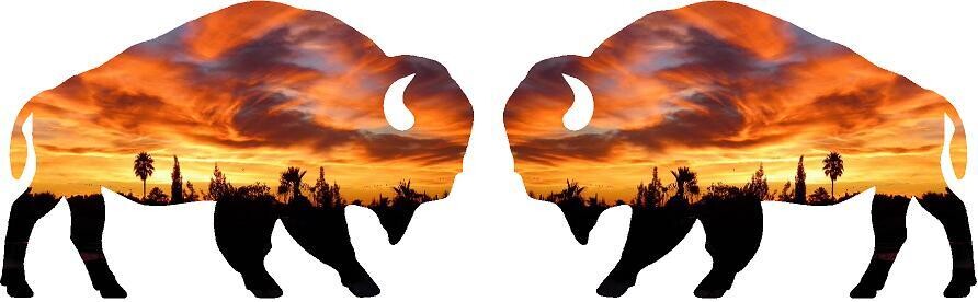 Decal 20