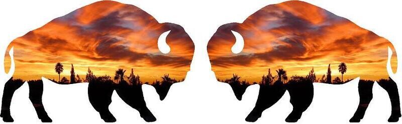 Decal 20