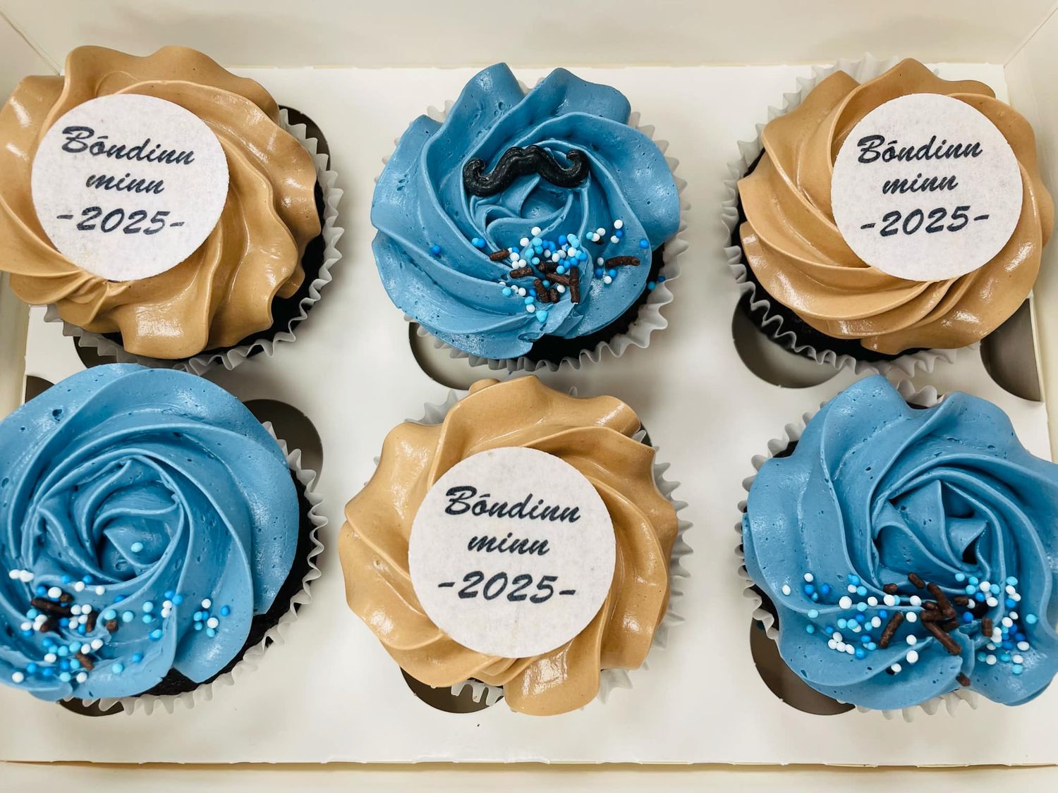 Prentaðar wafer myndir fyrir bollakökur