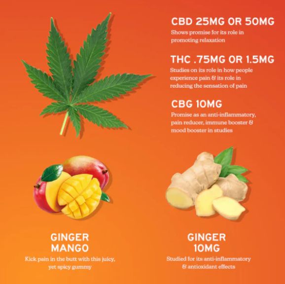 Alchemy Naturals - Double Strength Relief Gummies CBD+CBG