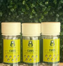 Cannabear - CUBS -THCA Short Pre-Rolls