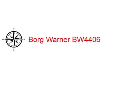 Borg Warner BW4406