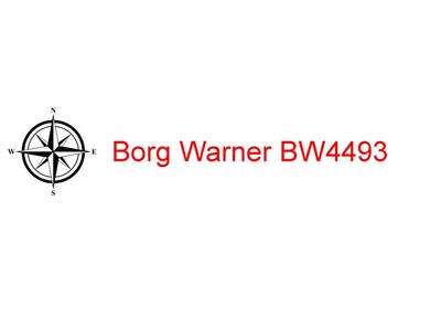 Borg Warner BW4493