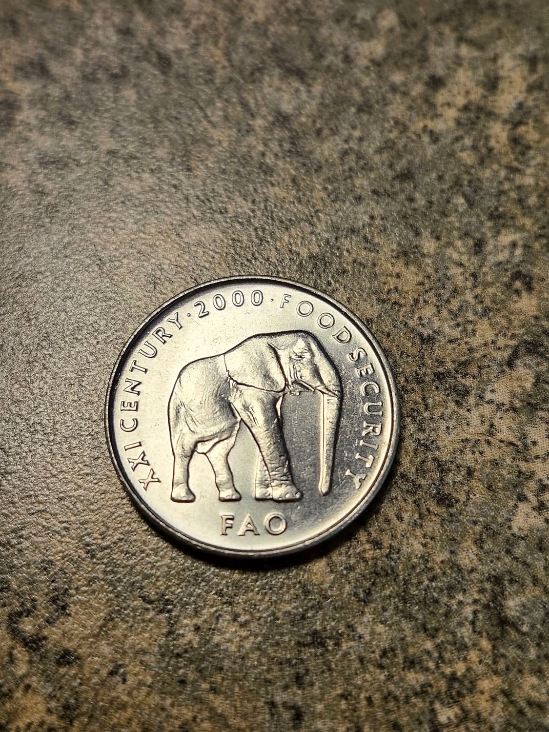 Somalia, 2000, 5 Shillings