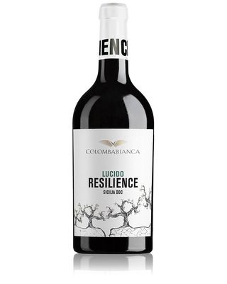 Vino bianco Resilience Lucido 2024