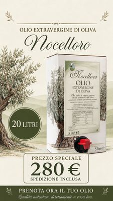 Olio extravergine d’oliva 20 lt