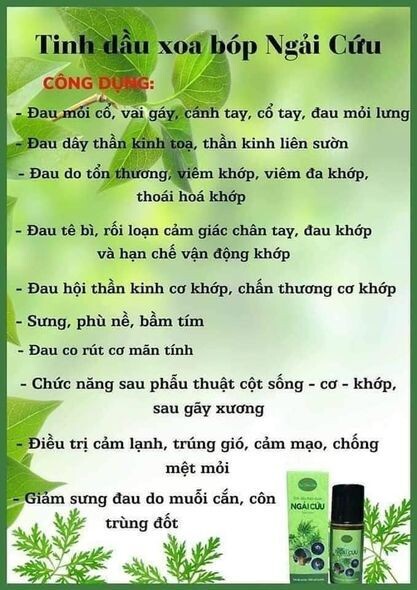 Tinh dầu xoa bóp Ngải Cứu - 50 ml