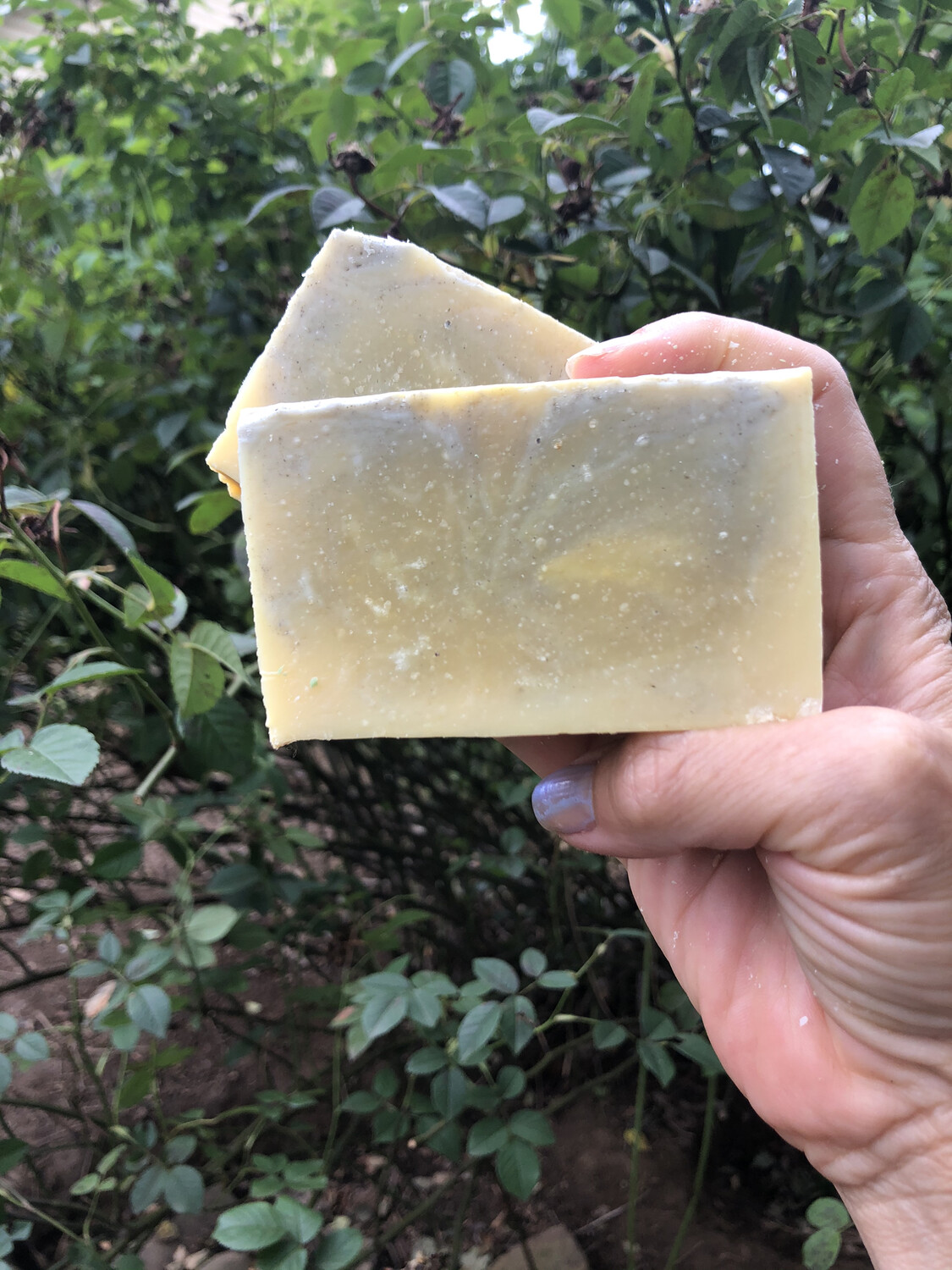 Lemongrass &amp; Eucalyptus