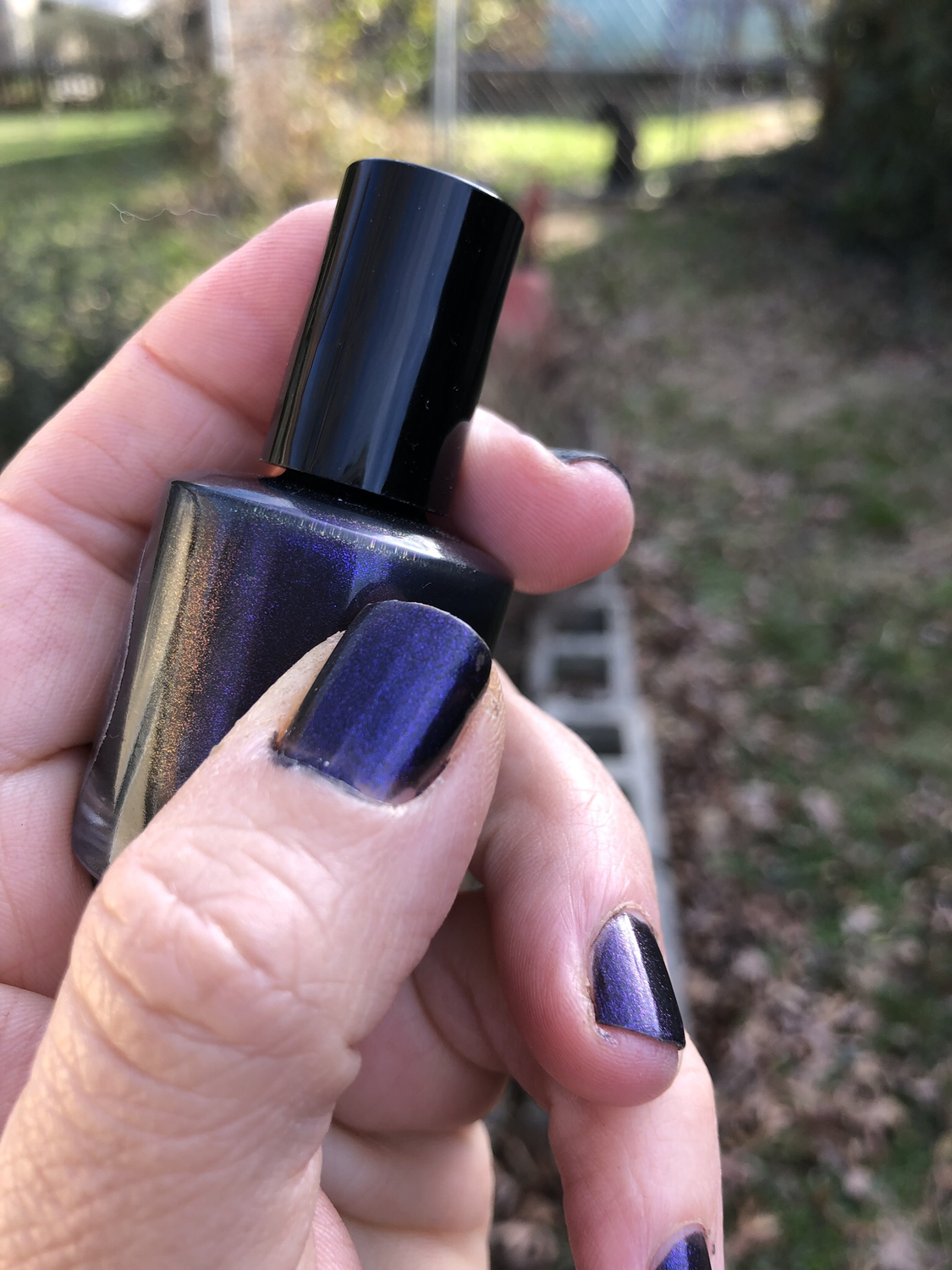 Dark Star Nail Polish 