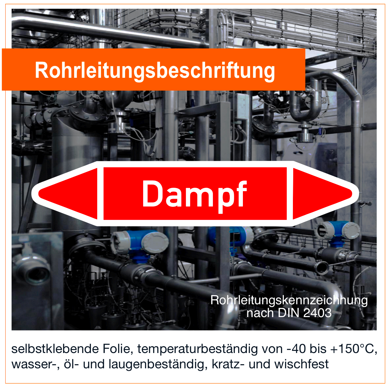 Dampf  - Rohrleitungskennzeichnung (VE 10 Stück)