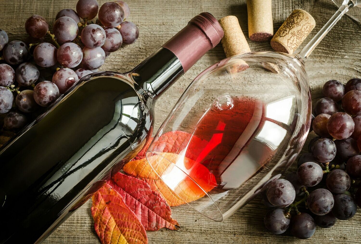 Sipsta Shiraz