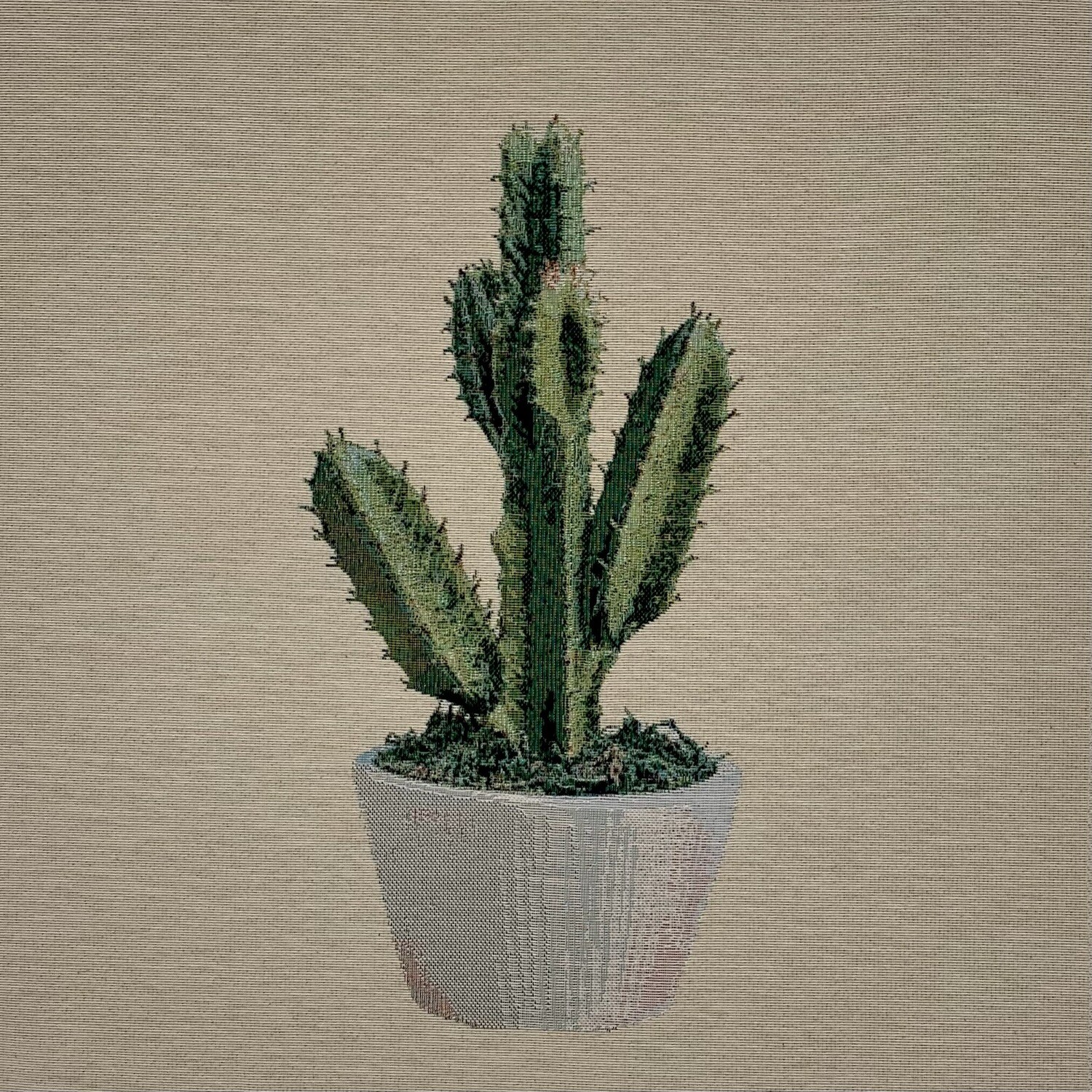 Pannello Cactus 3