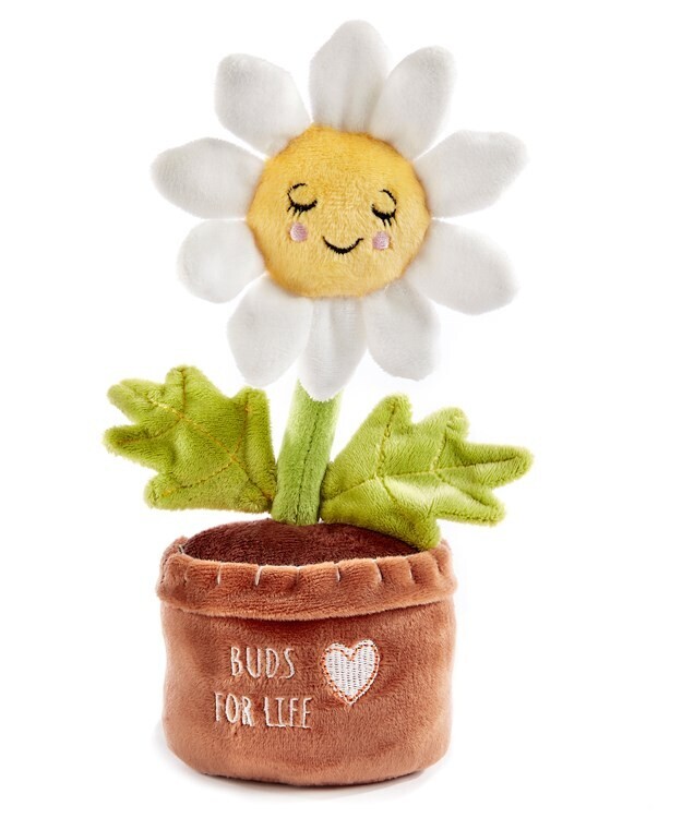 Potted Pal - Daisy