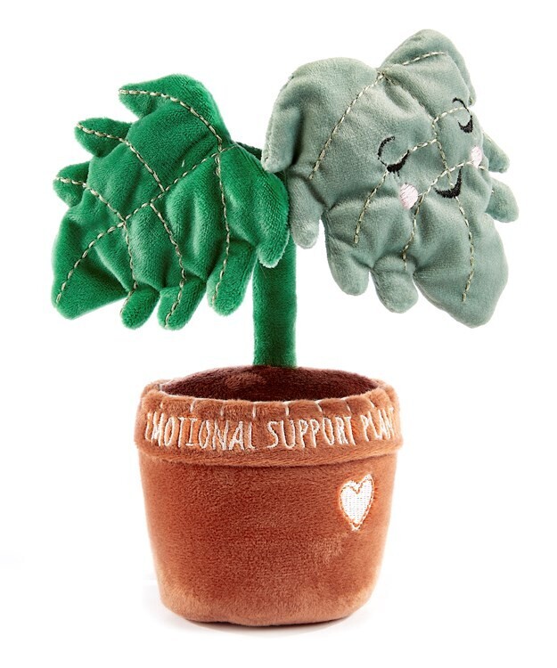 Potted Pal - Phil