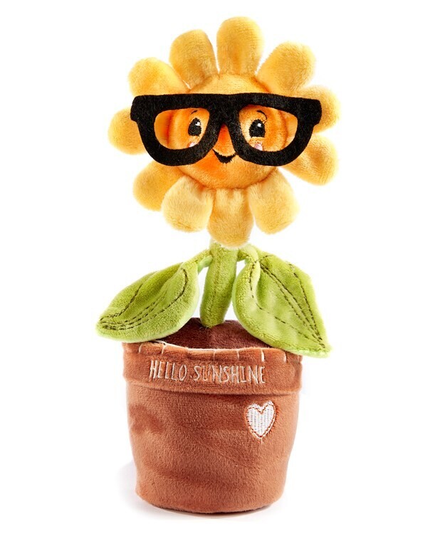 Potted Pal - Goldie 1b