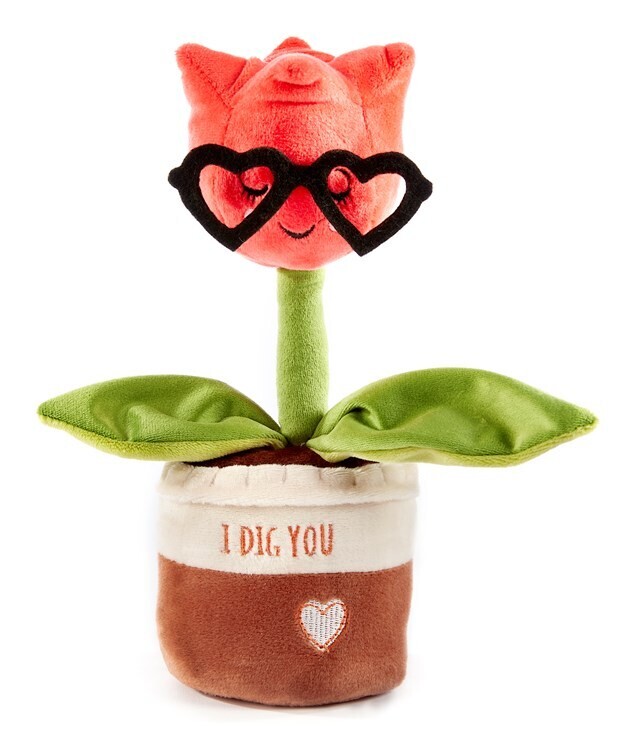 Potted Pal - Ruby 1b