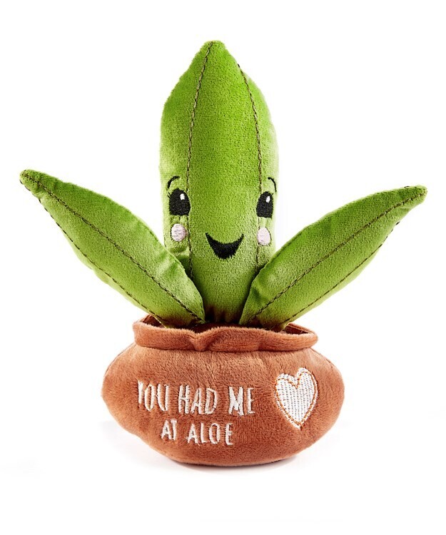 Potted Pal - Vera