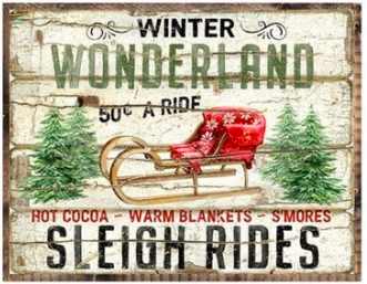 6.5x8 Winter Wonderland 633