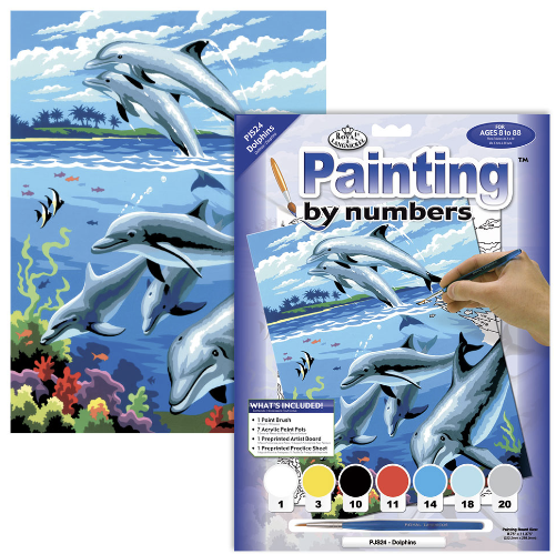 Standard PBN - Dolphins