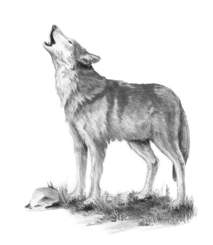 Mini Sketching - Howl
