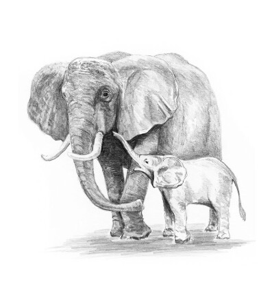 Mini Sketching - Elephant