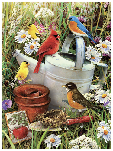 Standard PBN - Garden Birds