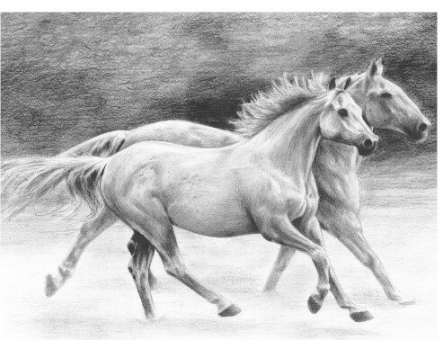 Sketching - Running  Free
