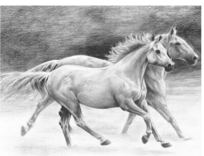 Sketching - Running  Free
