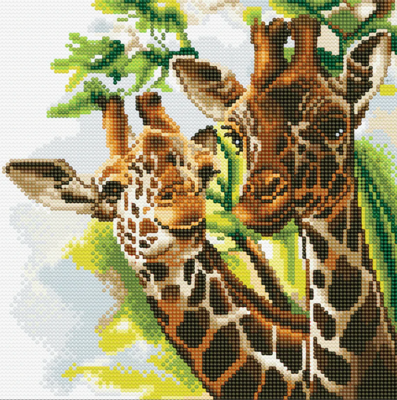 Friendly Giraffes