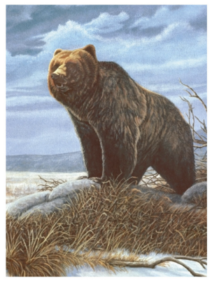 Standard PBN -  Grizzly