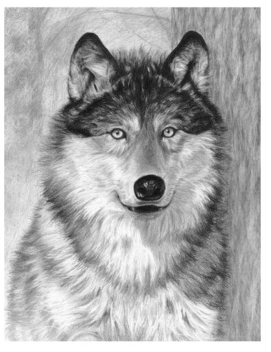 Sketching - Alpha