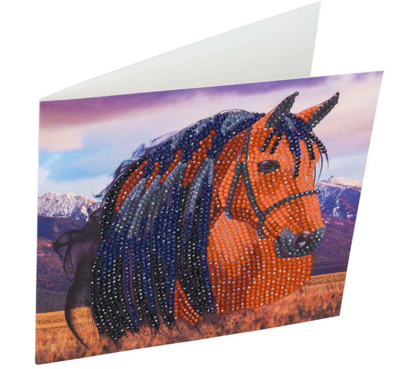 CA Horse Card