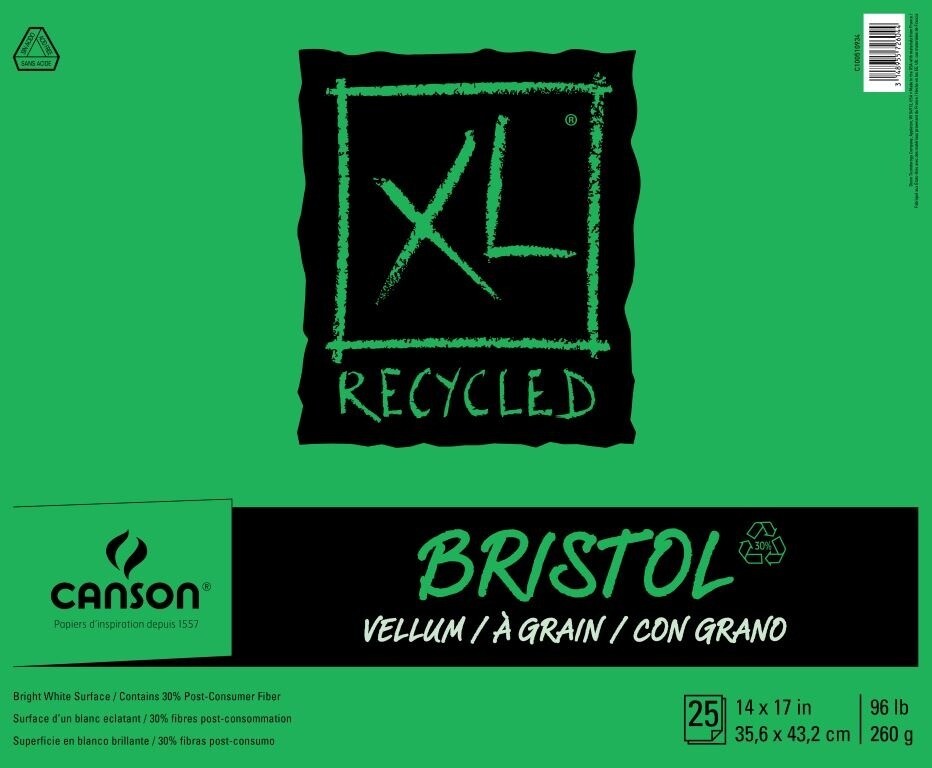 Canson Bristol 14x17 25