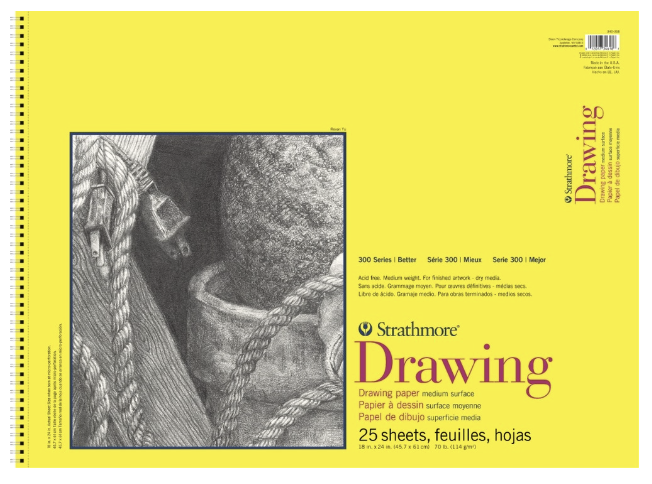 Strathmore Drawing 300 Series 18x24