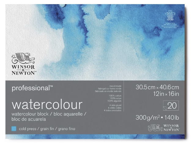 Windsor &amp; Newton Pro Watercolor Cold Press 12x16
