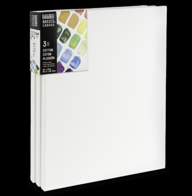 Basics Canvas 3pk 16x20