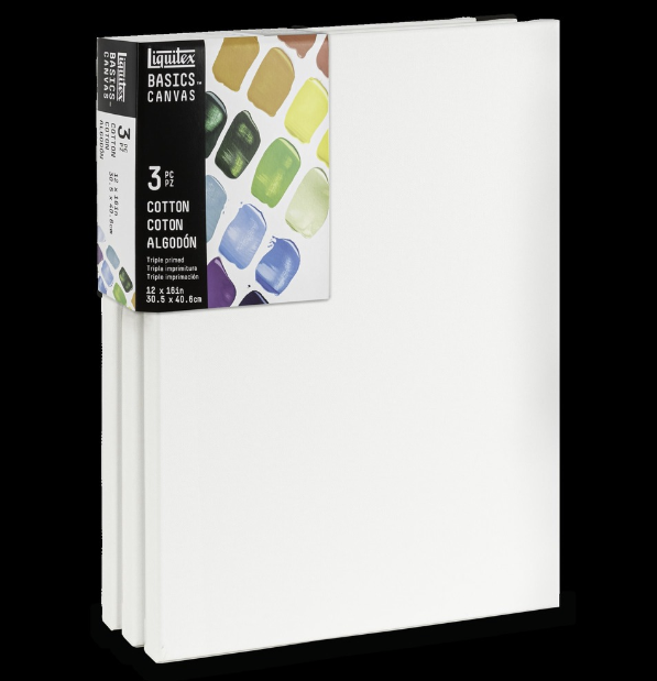 Basics Canvas 3pk 12x16
