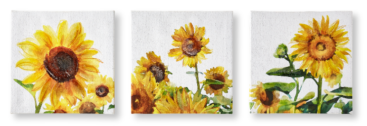Sunflower Canvas 3pc 3