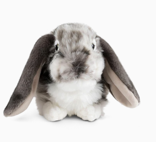 Living Nature Dutch Lop Ear Grey