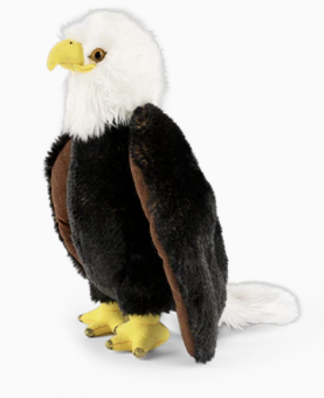 Living Nature Bald Eagle