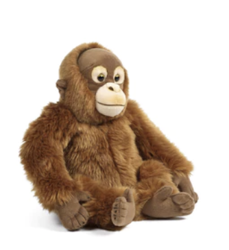 Living Nature Orangutan 1b