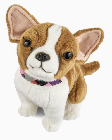 Living Nature Chihuahua