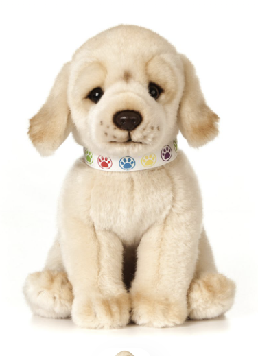 Living Nature Lab Pup