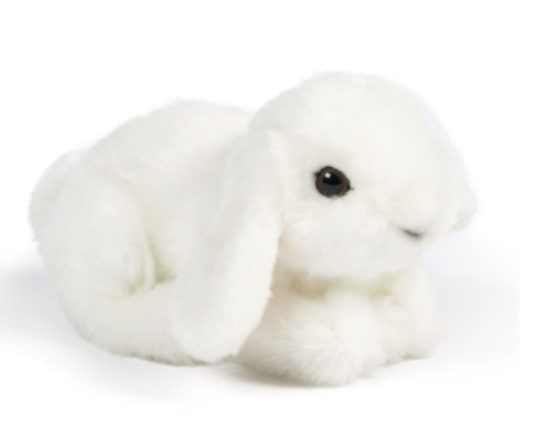 Living Nature Small Lop Ear