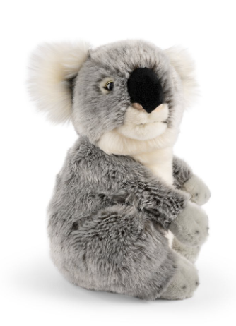Living Nature Koala
